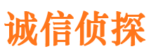 岚县侦探公司